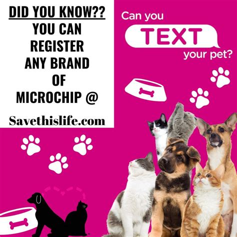 Save This Life - Microchip & Pet Recovery System (@savethislifeofficial ...
