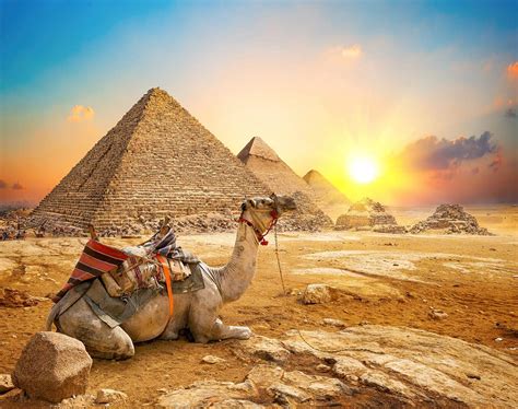 Buy toynk Giza Sunrise Ancient Egypt Pyramid Puzzle | 1000 Piece Jigsaw ...