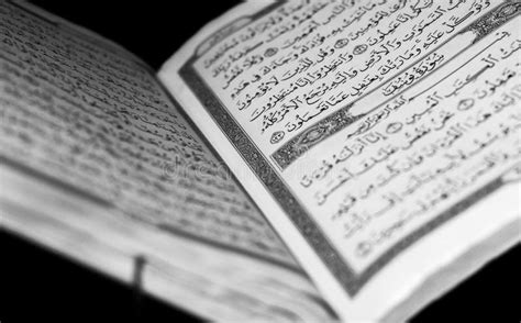 Image result for Bible Study Tutorials