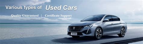 Company Overview - Wuhan Longxinchengshi Used Car Management Co., Ltd.