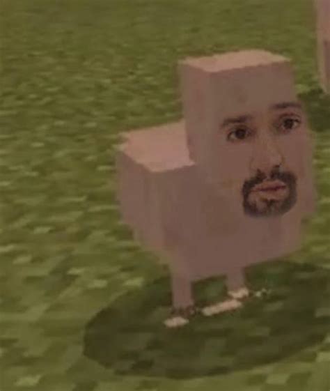 Image result for Minecraft Feet Mod