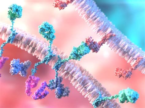 Chemsis - Recombinant Proteins | Antibodies | Life Science Products ...