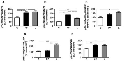 Changes in Lipid Metabolism Enzymes in Rat Epididymal Fat after Chronic ...