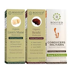 Buy Rooted Active's Lion’s Mane, Reishi & Cordyceps Mushroom Tincture ...