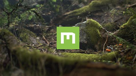 Quixel Megascans - The world's largest scanned 3D asset library
