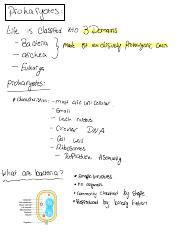Image result for Course Prokaryotes