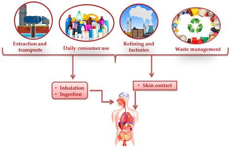 Microplastics: A Threat for Male Fertility