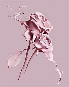 Iphone Pastel Aesthetic Floral Wallpaper by Pale Palepink Pink Pastel Aesthetic Pinkaesthetic Pink Iphone Pastel Aesthetic Floral Wallpaper
