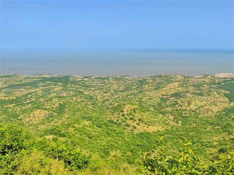 Cheriya of Guneri is on the verge of becoming a bio heritage site