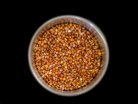 Rowan Agronature | Cereals