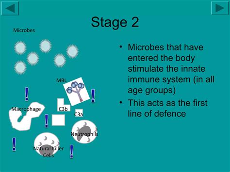 Image result for Complement System Animation