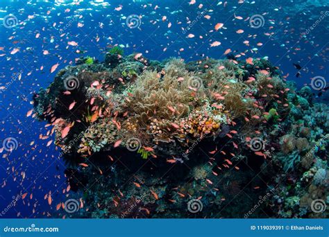 Image result for Random Sampling Error