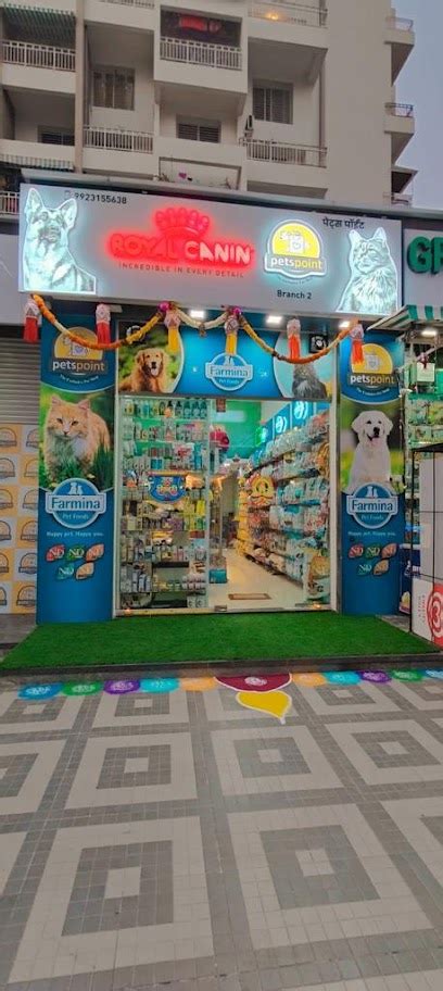 Best Pet Grooming Services in Pune | Find Top Groomers Near You