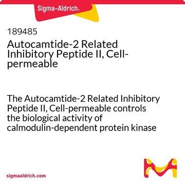 Autocamtide-2 Related Inhibitory Peptide II, Cell-permeable The ...