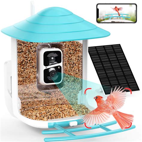 Bird Watching Gifts: Top 10 Ideas for Enthusiasts in 2023 - Wild Earth ...