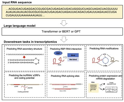 Bioinformatics Modeling 的图像结果
