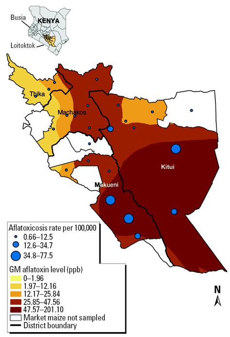 Aflatoxin Contamination of Commercial Maize Products during an Outbreak ...