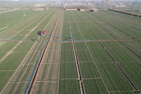 农田 的图像结果