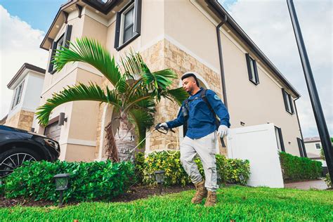 Miami, FL Pest Control Coupons, Discounts, Bees, Termites - Mega Bee