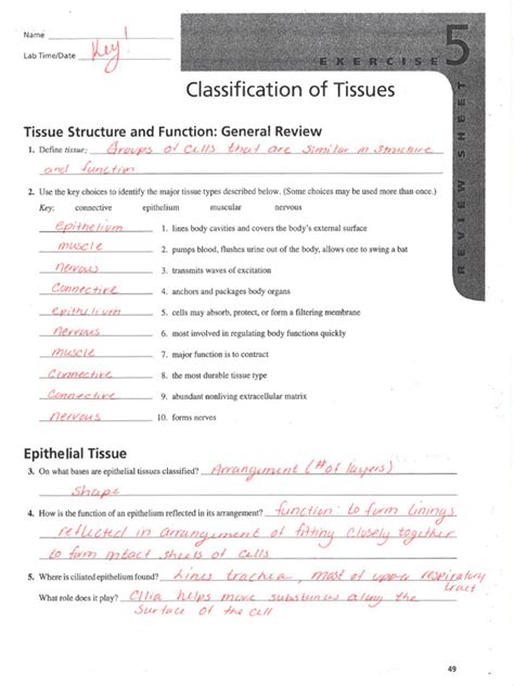 Classification of Tissues 的图像结果