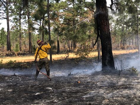 Prescribed burns keep troop training hot | Article | The United States Army