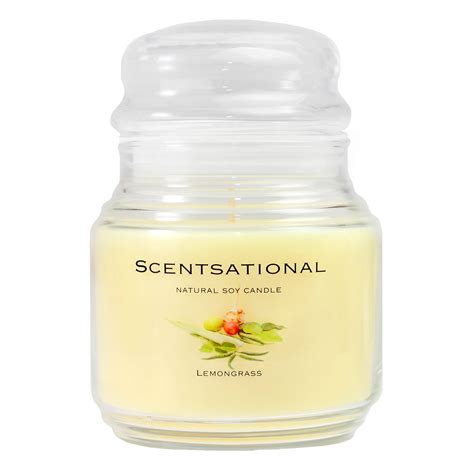 SCENTSATIONAL NATURAL SOY CANDLE | Wayfair