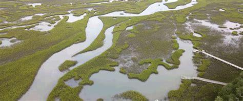 New Model Maps Widespread PFAS Contamination in U.S. Groundwater