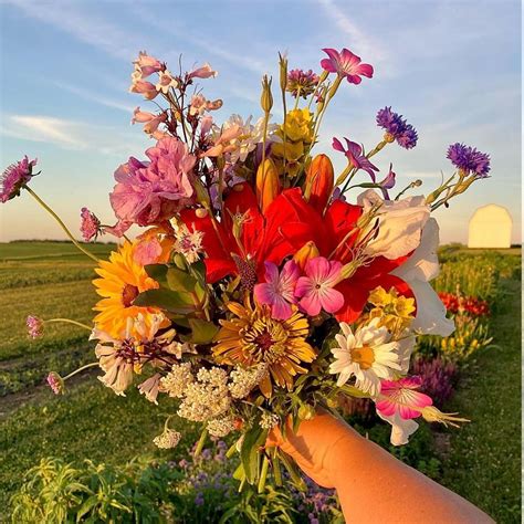 Wild Flower Bouquet Fragrance Oil