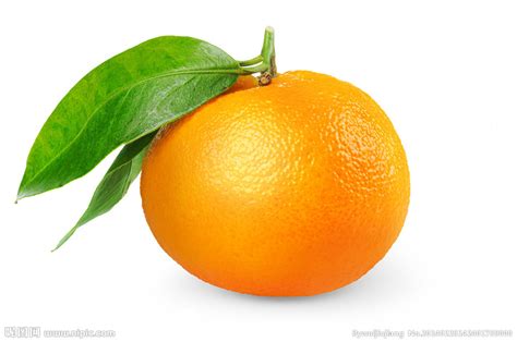新鲜水果桔子橘子柑橘小清新海报PSD广告设计素材海报模板免费下载-享设计