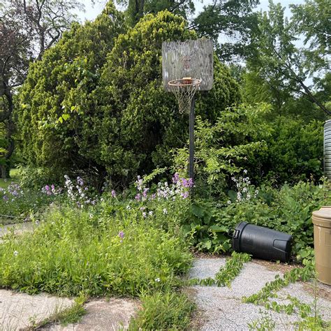 Post from Outdoors with Erik