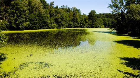 Researchers Find The Answer To Unexpected Greenhouse Gas Effect In ...