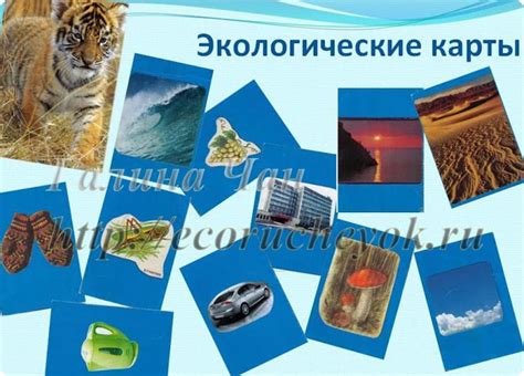 https://ecorucheyok.ru/besplatno"Ручеёк" Экологический клуб для детей и ...
