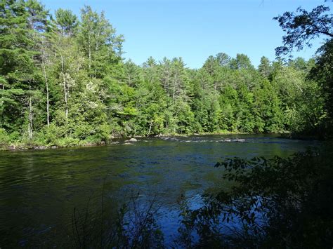 Nature River 的图像结果