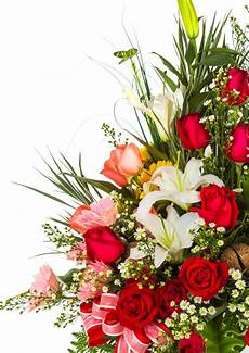 fiori da scaricare mazzo di fiori con uno sfondo bianco scaricare foto gratis fiori da scaricare mazzo di fiori con uno sfondo bianco scaricare foto gratis
