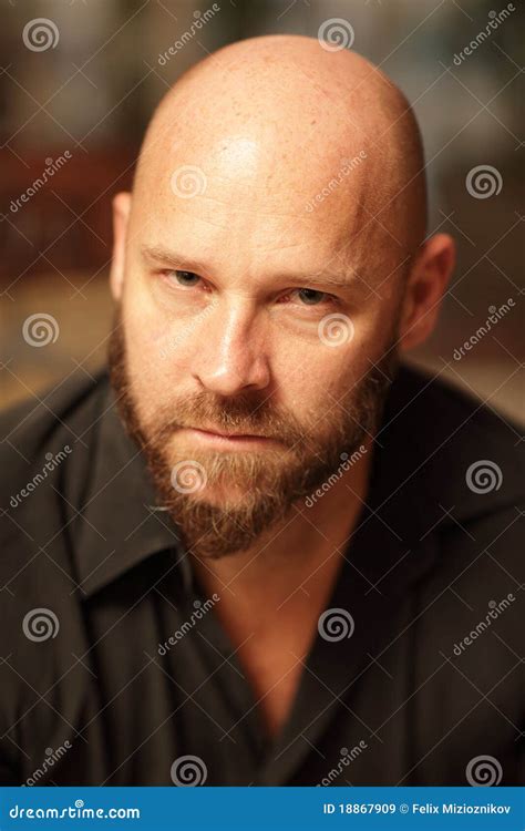 Portrait of a Handsome Bald Man Stock Image - Image of macho, shaved ...