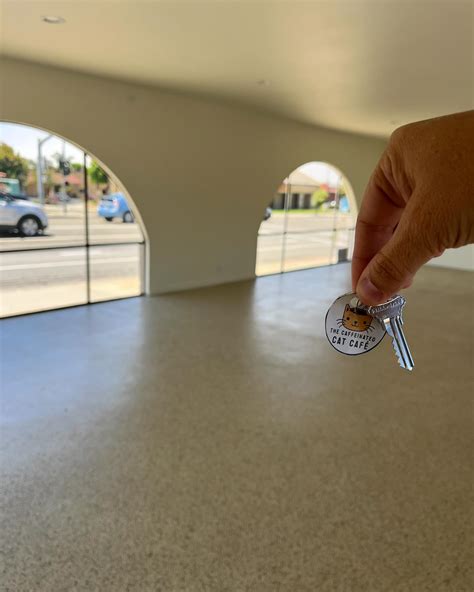 The Caffeinated Cat Cafe | Friends, it’s been almost a year since we ...