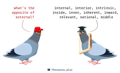 Image result for External