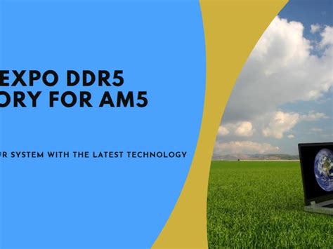 Image result for AMD HEVC Decoder