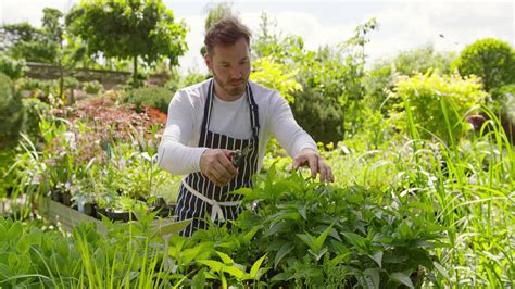 Download Gardener Trimming Plants Garden Wallpaper | Wallpapers.com