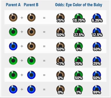 Image result for Probability Comparison Eye Color