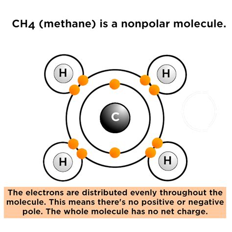 Polar Molecule Definition