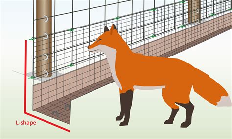 How Deep Can Foxes Dig