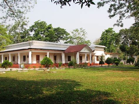 BUXA JUNGLE LODGE (Jalpaiguri, West Bengal) - Lodge Reviews & Photos ...
