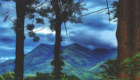 Top 20 Hill Stations in Kerala That You Must Visit in 2025