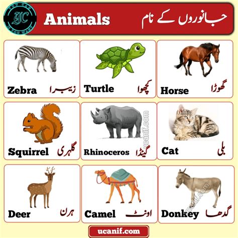 Endangered In Urdu