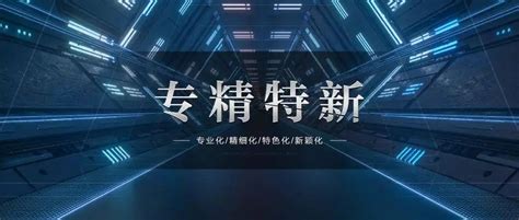 专精特新小巨人企业的专项条件 申报专精特新小巨人企业有什么意义 - 知乎