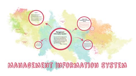 Management Information System Software 的图像结果