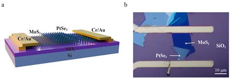 Highly Responsive and Self-Powered Photodetector Based on PtSe2/MoS2 ...