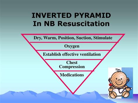 What Is A Resuscitation Triangle Role at Tina Philpott blog