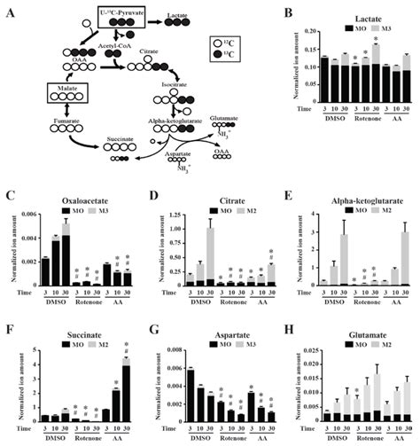 Metabolites | Special Issue : Cancer Metabolomics